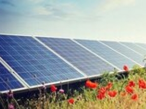 Northumberland Estates submits plans for a solar farm in North Tyneside to power 9,000 homes