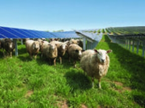 Plans revealed for green infrastructure and renewable energy facility in South Wales