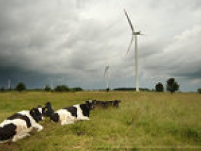 ERG and Onyx Insight partner to enable in-house monitoring of pan-European wind portfolio