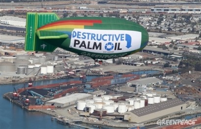 Cerco europeo al aceite de palma mientras la industria del biodiésel evita hablar de él