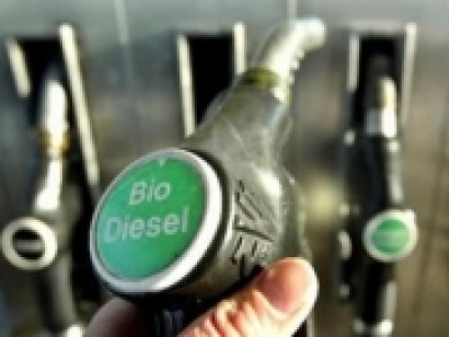“La propuesta de prohibir los biocarburantes convencionales a partir de 2020 es burda e injusta”