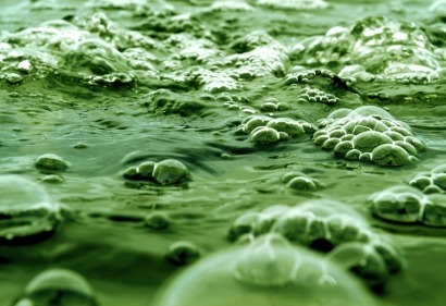 Biogás, bioetanol y microalgas se reparten 3,5 millones de los nuevos Life