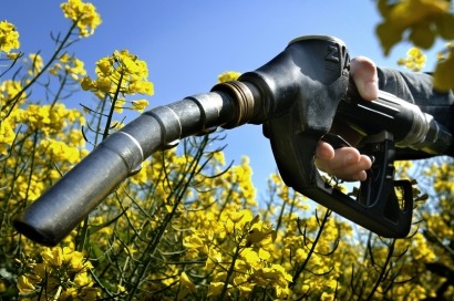 España: objetivos bajos de biocarburantes y descenso brutal del consumo