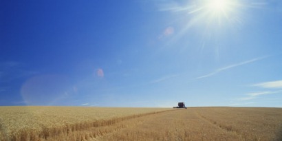 La UE tendrá en cuenta el cambio indirecto del uso del suelo de los biocarburantes