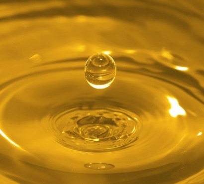 La Fundación Renovables pide eliminar los biocarburantes de aceites importados