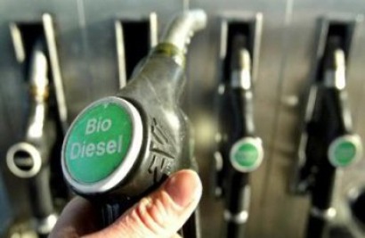 La CNE se postula para gestionar la sostenibilidad de los biocarburantes