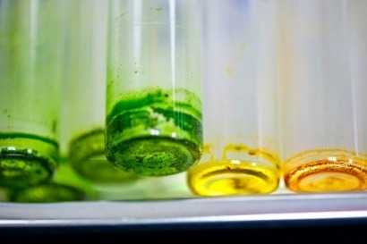 Bioplat presenta las diez cadenas de valor prioritarias en bioenergía