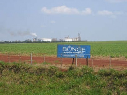 El etanol de Bunge, envuelto en casos de desplazamientos de indígenas