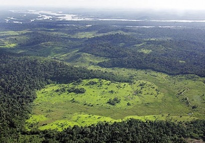 Convenio de Biodiversidad: no pero sí a los biocarburantes