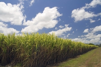 El Gobierno anuncia un plan para aumentar la producción de etanol