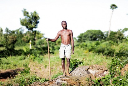 Los biocarburantes, acusados del acaparamiento de tierras en África