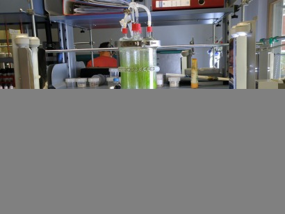 Objetivo: diseñar un fotobiorreactor flexible y más eficiente para el cultivo de microalgas