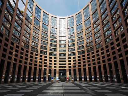 El Parlamento Europeo elimina definitivamente el aceite de palma como biocarburante