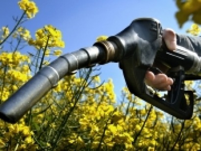 IDAE e Industria ocultan la purga en su Departamento de Biocarburantes