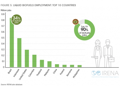 Biocarburantes: principales responsables del crecimiento del empleo mundial en renovables en 2019