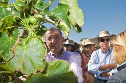 El ritmo de producción de frutos de jatrofa en Canarias es mayor que en otras regiones del mundo