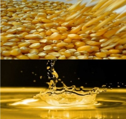 Compuestos químicos del maíz y la avena para rentabilizar la producción de biocarburantes
