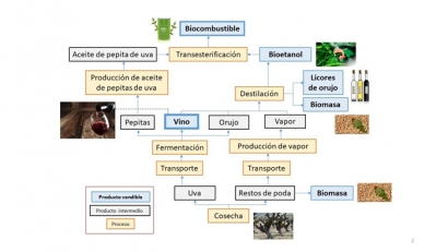 20.000 toneladas anuales de biodiésel a partir de residuos del vino y de bioetanol