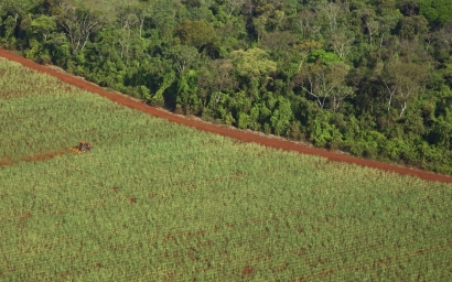 Fuerte contestación a Bolsonaro ante su ambición por producir más etanol a costa de la Amazonia