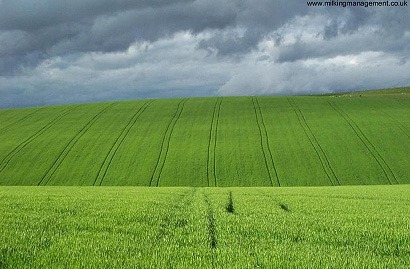 La AEMA critica los cálculos de emisiones aplicados a la bioenergía en Europa