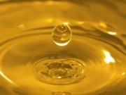 Aumentará casi un 30% la producción de biodiésel en 2011