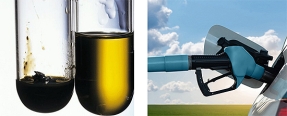 Webinar sobre biocombustibles HVO