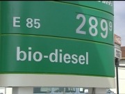 Los ecocombustibles son una "garantía para la independencia energética"