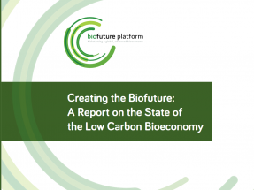 Las materias primas más sostenibles para biocombustibles son pocas, costosas o poco fiables