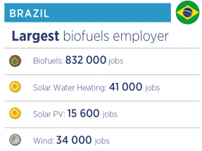 El bioetanol de caña de azúcar de Brasil genera el doble de empleos que el de maíz de Estados Unidos con menos producción