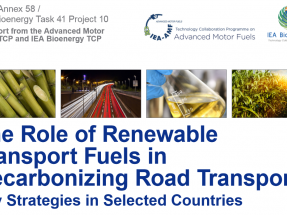 El programa de Bioenergía de la Agencia Internacional de la Energía promueve eco-combustibles que no son biocarburantes