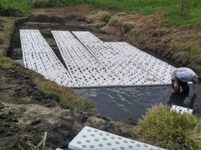 Investigan con plantas acuáticas para limpiar el agua y producir bioetanol