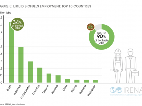 Biocarburantes: principales responsables del crecimiento del empleo mundial en renovables en 2019