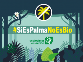 Baja el consumo de biodiésel de palma en España, pero se mantienen las protestas