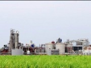 A punto de comenzar la exportación de etanol