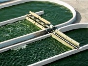 Draft EU proposals would devastate UK biofuels industry
 
