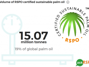 Mientras llegan más biocarburantes avanzados, el convencional de palma debe extremar su sostenibilidad