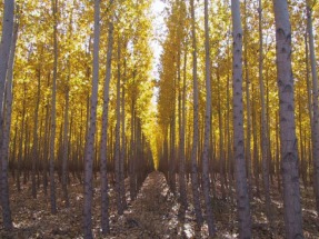 University study finds people willing to pay more for biofuels