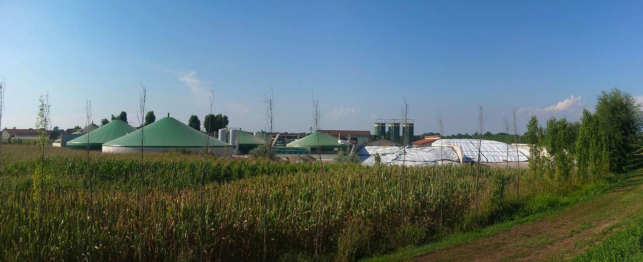 New Poll Shows Support for Fed Investments in U.S. Biogas 
