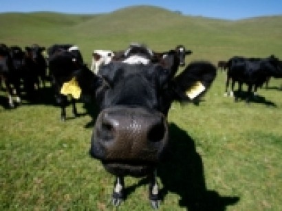 El biogás como instrumento eficaz para el desarrollo rural