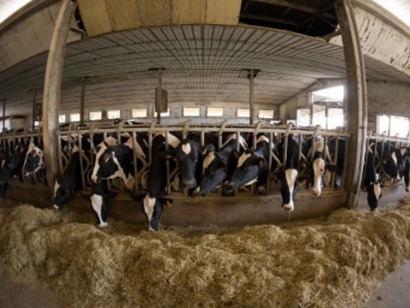 Biogás industrial: madurez tecnológica pero barreras por doquier