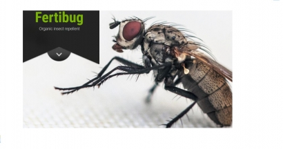 El biogás sirve para fabricar insecticidas naturales contra la mosca de la col