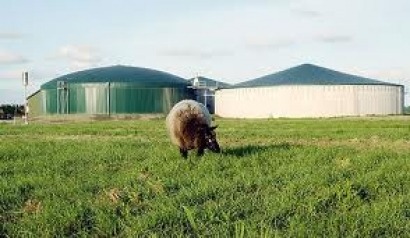 Purines, hollejo de uva y cereales para tres plantas de biogás de EnviTec en España