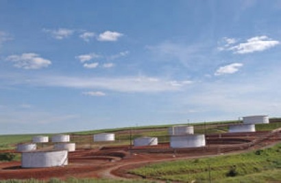 Manual de biogás para desarrollarlo con seguridad y eficiencia en América Latina