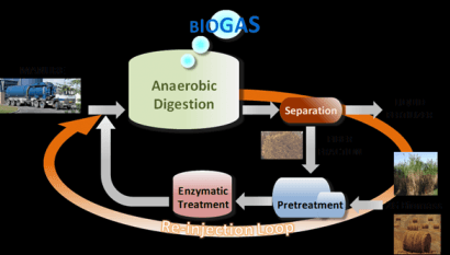 Proyecto para optimizar la producción de biogás con la paja del estiércol