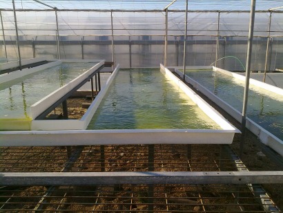 La Universidad de Almería investiga para crear biorrefinerías a partir de aguas residuales
