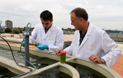 Biogás y biomasa para hacer más eficientes a las pymes alimentarias