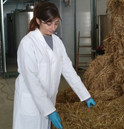 La paja de arroz, cada vez más cerca de convertirse en biogás comercial