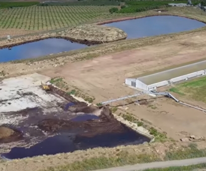 El biogás espera (desespera), mientras el purín contamina