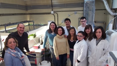 La Universidad de Valladolid investiga la producción de etanol y biogás con microalgas