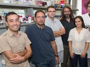 Triplican la producción de biogás con nanopartículas de óxido de hierro.